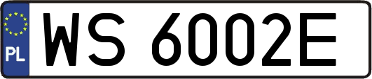 WS6002E