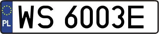 WS6003E