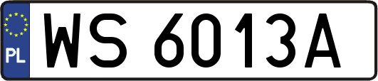 WS6013A