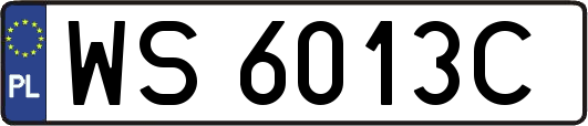 WS6013C