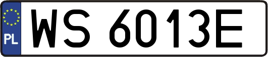 WS6013E