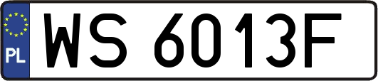 WS6013F