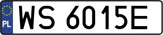 WS6015E