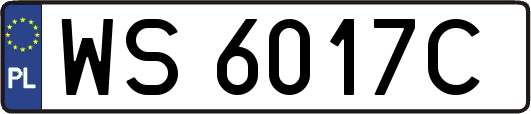 WS6017C