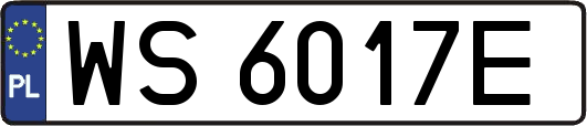 WS6017E