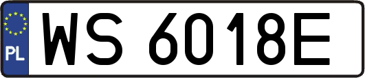 WS6018E