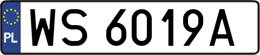 WS6019A