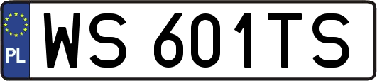 WS601TS