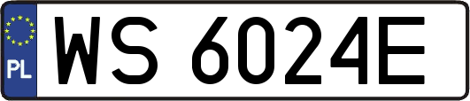 WS6024E