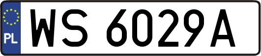 WS6029A