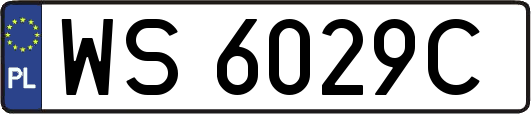 WS6029C