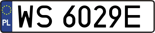 WS6029E