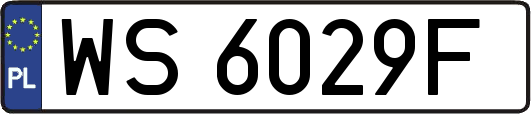 WS6029F