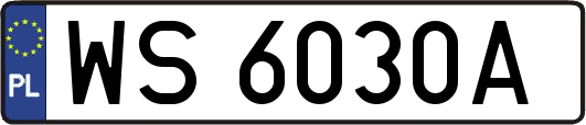 WS6030A