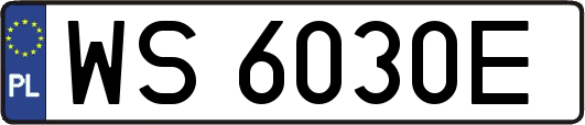 WS6030E