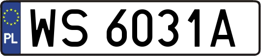 WS6031A