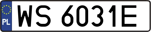WS6031E