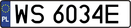 WS6034E