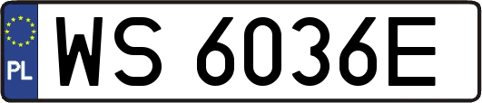 WS6036E