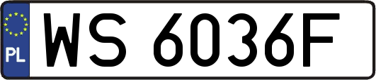 WS6036F