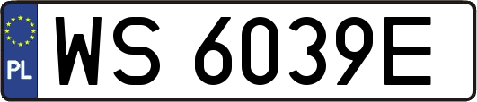 WS6039E