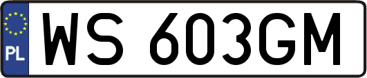 WS603GM