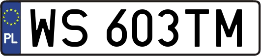 WS603TM