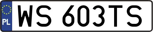 WS603TS