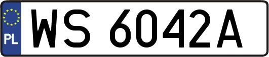 WS6042A