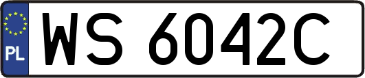 WS6042C
