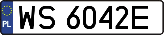WS6042E