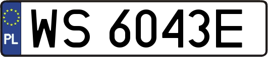 WS6043E