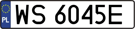 WS6045E