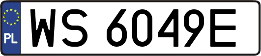 WS6049E