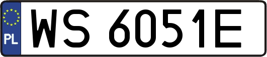 WS6051E