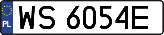 WS6054E