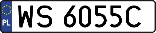 WS6055C
