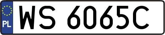 WS6065C