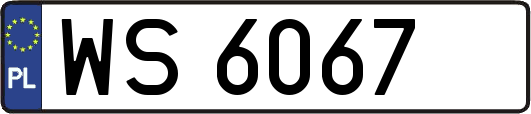 WS6067