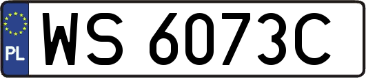 WS6073C
