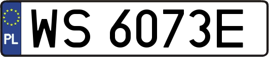 WS6073E