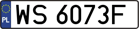 WS6073F