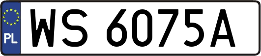 WS6075A