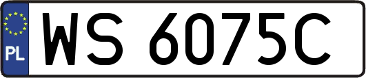 WS6075C