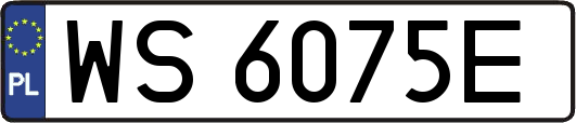 WS6075E