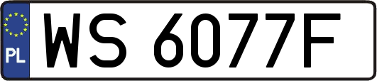 WS6077F