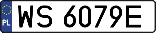 WS6079E