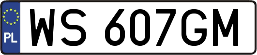 WS607GM