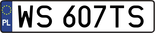 WS607TS