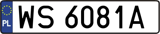 WS6081A